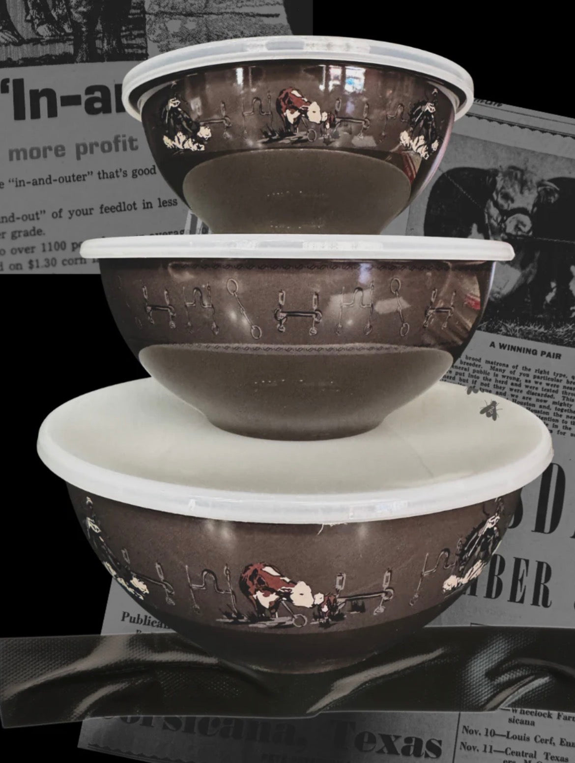 Western Bowl Set