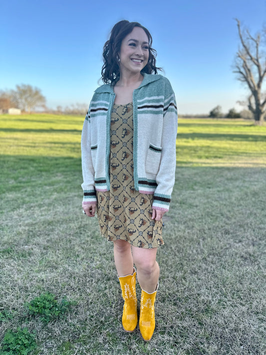 Lonestar Slip Dress