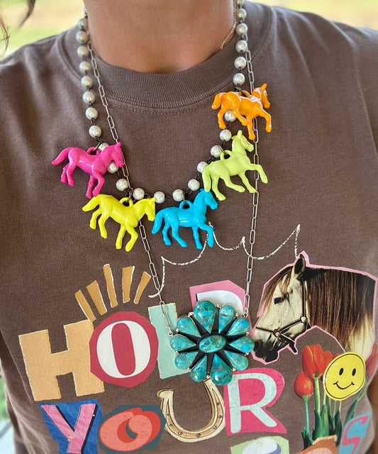 Chasing Ponies