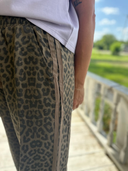 Leopard Madness